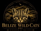 JUNGLE ENCOUNTERS- Belize Wild Cat Conservation Research Project