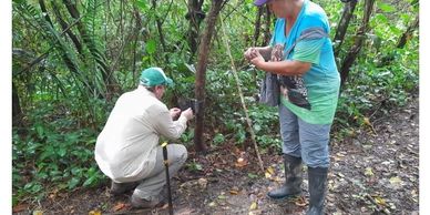 Two people examining nature in a forest.