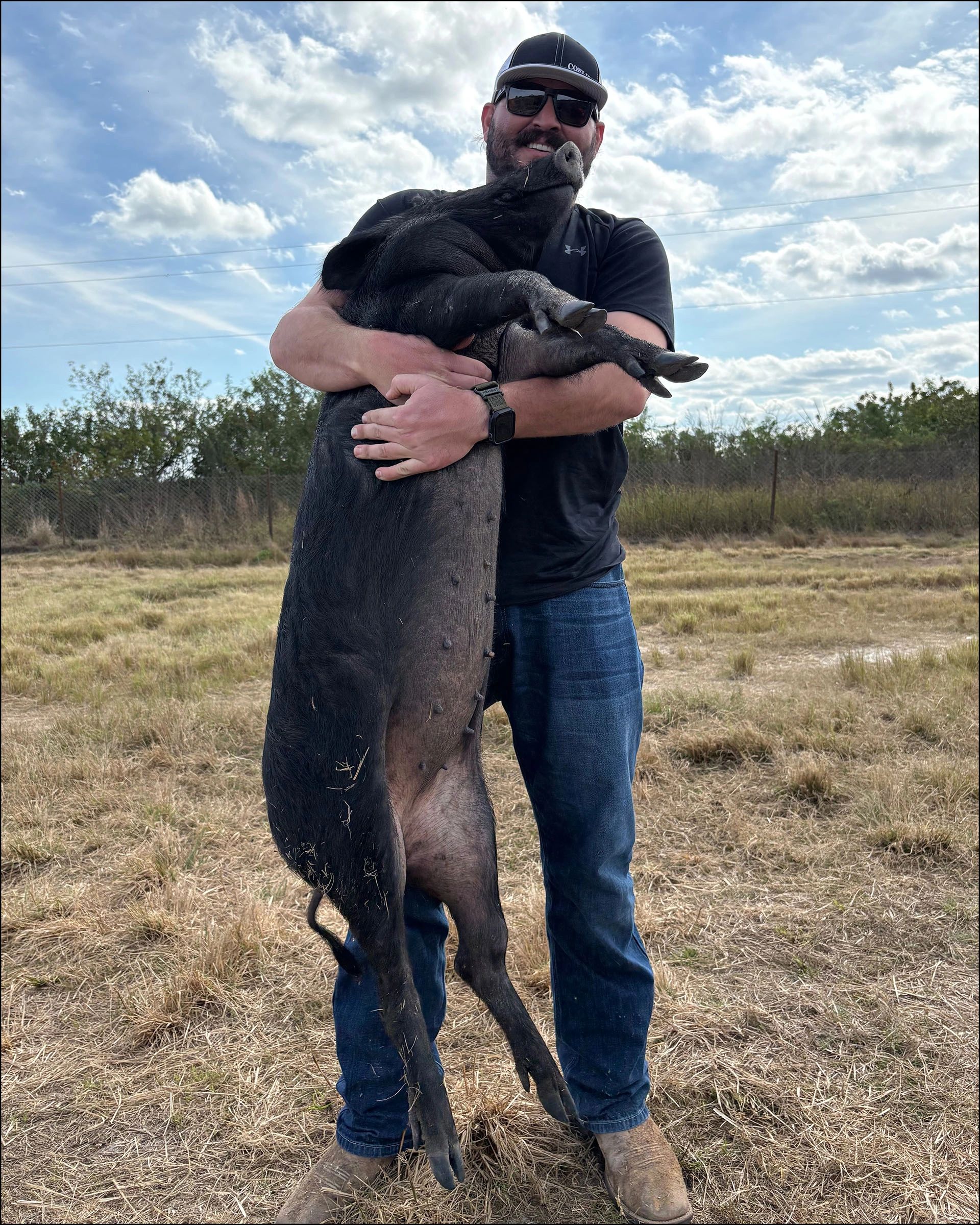 Bear Hug Boar