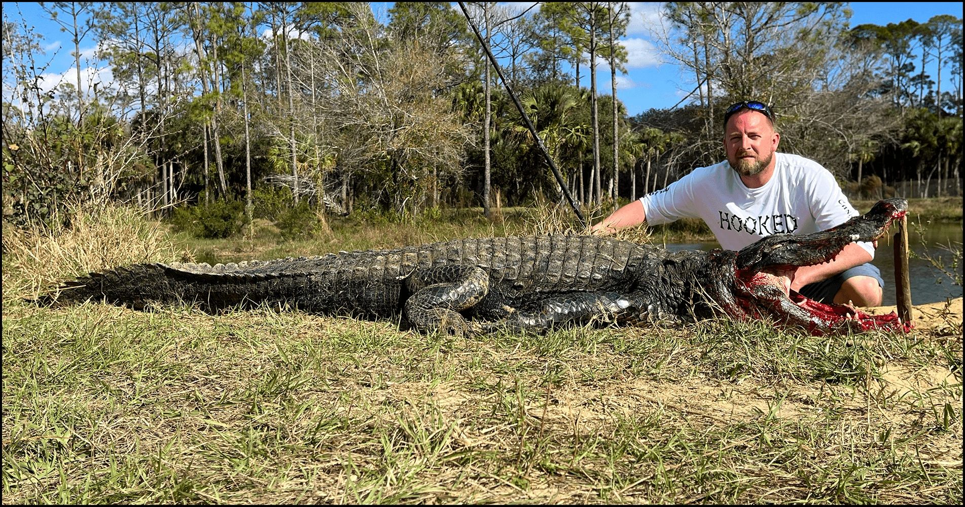 Florida Alligator Hunting Season 2024 Bell Marika