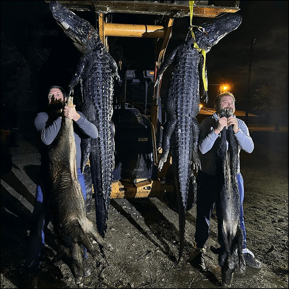 Thrilling Gator & Hog Hunts in Florida A MustTry!