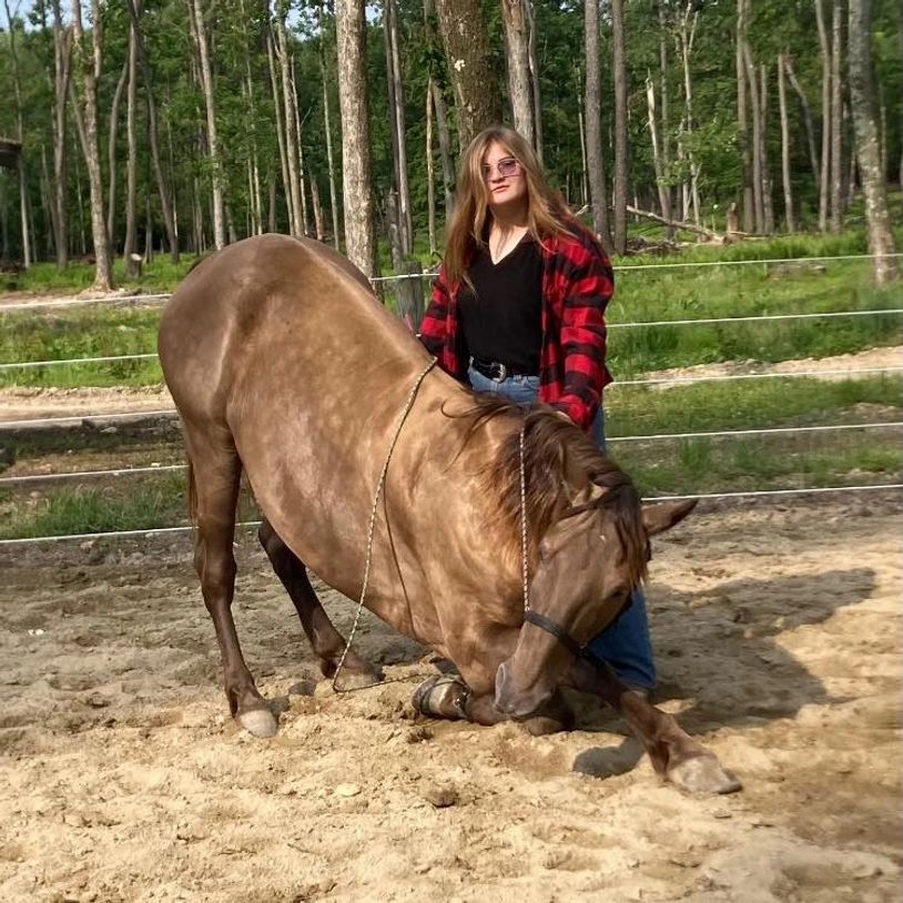 Horse bowing with a woman standing behind.