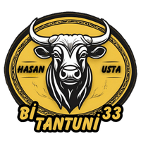Bi Tantuni 33