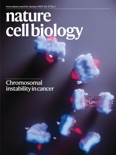Cover submission (not selected) for Baker, Z.N., Zhu, Y., Guerra, R.M. et al.