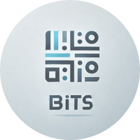 BITS
Barbottin Innovative Tech Solutions