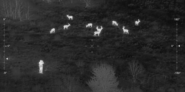 Thermal image showing a person observing a group of deer in the wilderness.