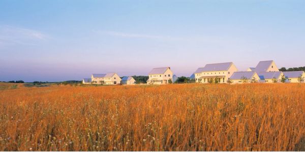 Farmhouses beyond a golden wheat field at sunset.