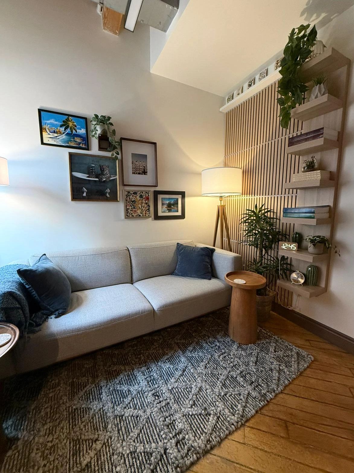 Cozy living room with a gray couch, patterned rug, and wooden shelves.