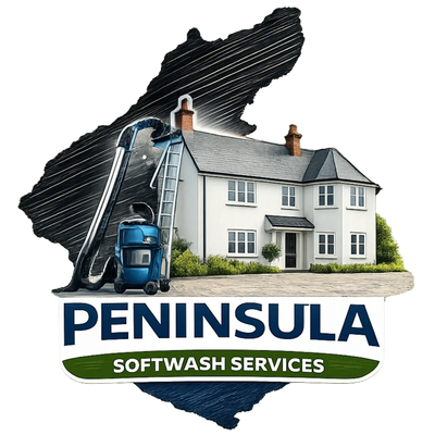 Render cleaning heswall, wirral. low pressure soft washing