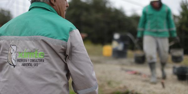 vivero forestal, compensacion ambiental, siembra de arboles