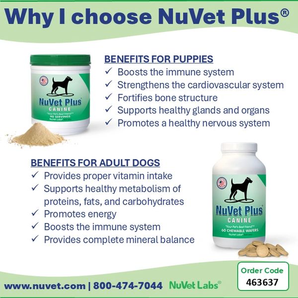 NuVet Plus benefits for puppies and adult dogs.