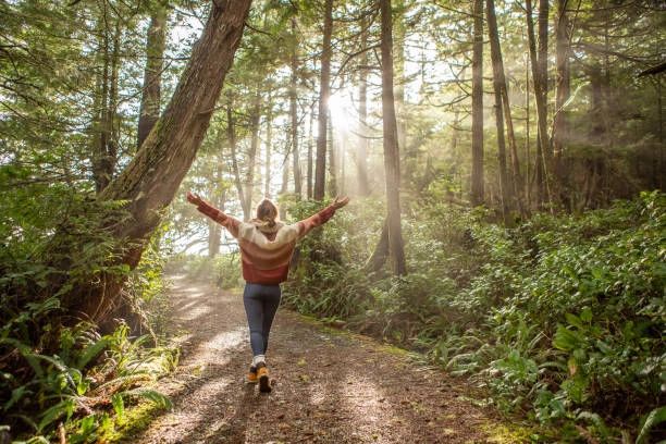 Person joyfully walks with arms raised in sunlit forest path.