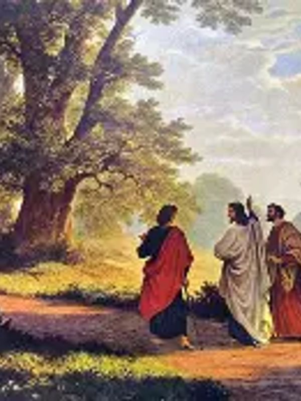 Three people walking on a path beside a large tree.
