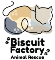 Biscuit Factory Animal Rescue