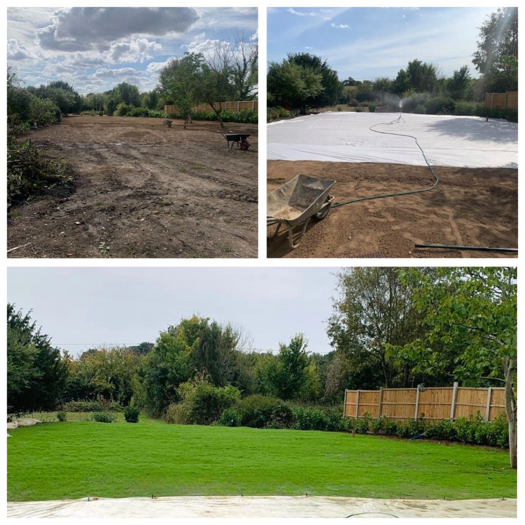 Three stages of a garden lawn transformation from bare soil to lush green grass.