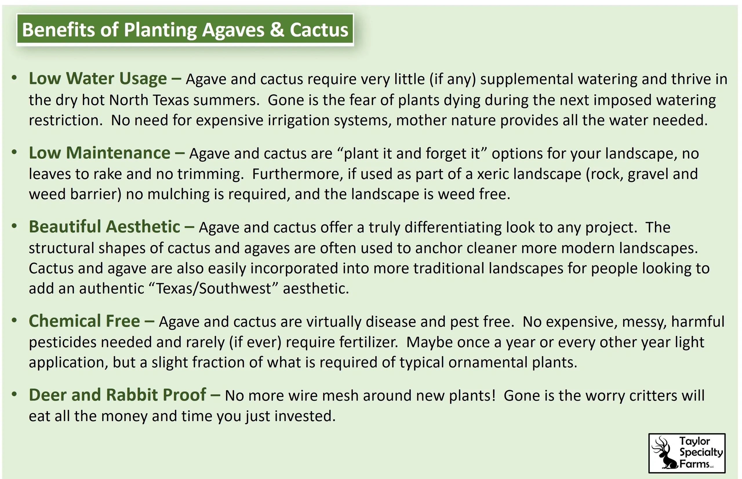 Benefits of planting agave and cactus
low water, water wise
low maintenance
beautiful 
chemical free