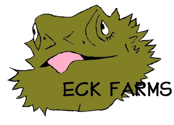 Bait Shop and Feeder Insects ECK FARMS Warrensburg, Missouri