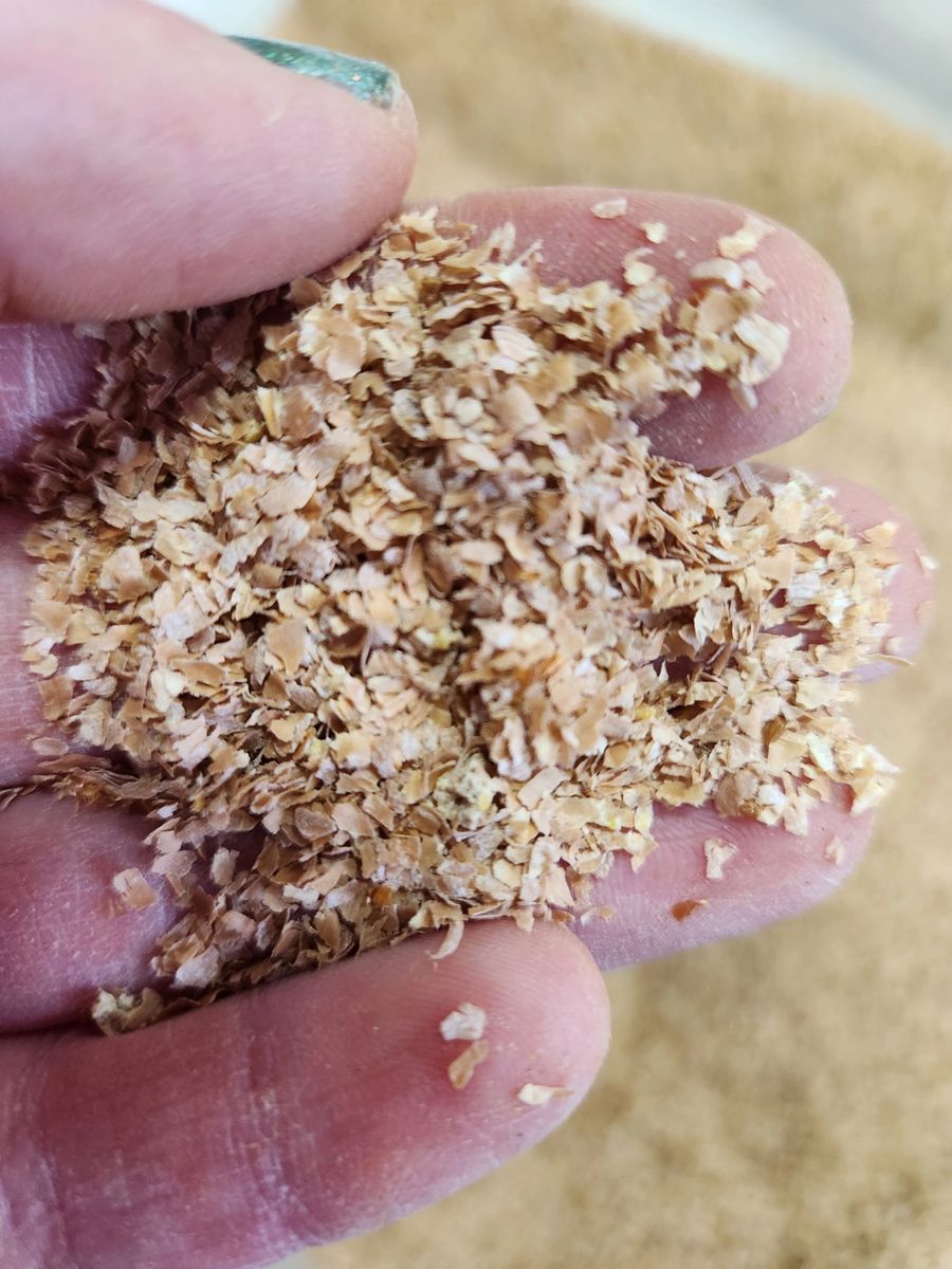 5 lbs wheat bran. Mealworm food.