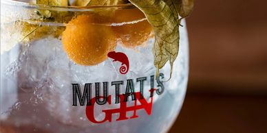 Brazilian Award-winning Mutatis Gin by Alkimia. Copyright Alkimia 