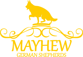 Mayhew GERMAN SHEPHERDS