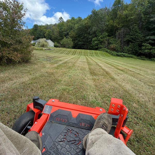 View from a lawn mower cutting grass on a sunny day.