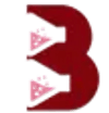 B. B. MIDDLE EAST LLC - FZ
