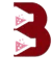 B. B. MIDDLE EAST LLC - FZ