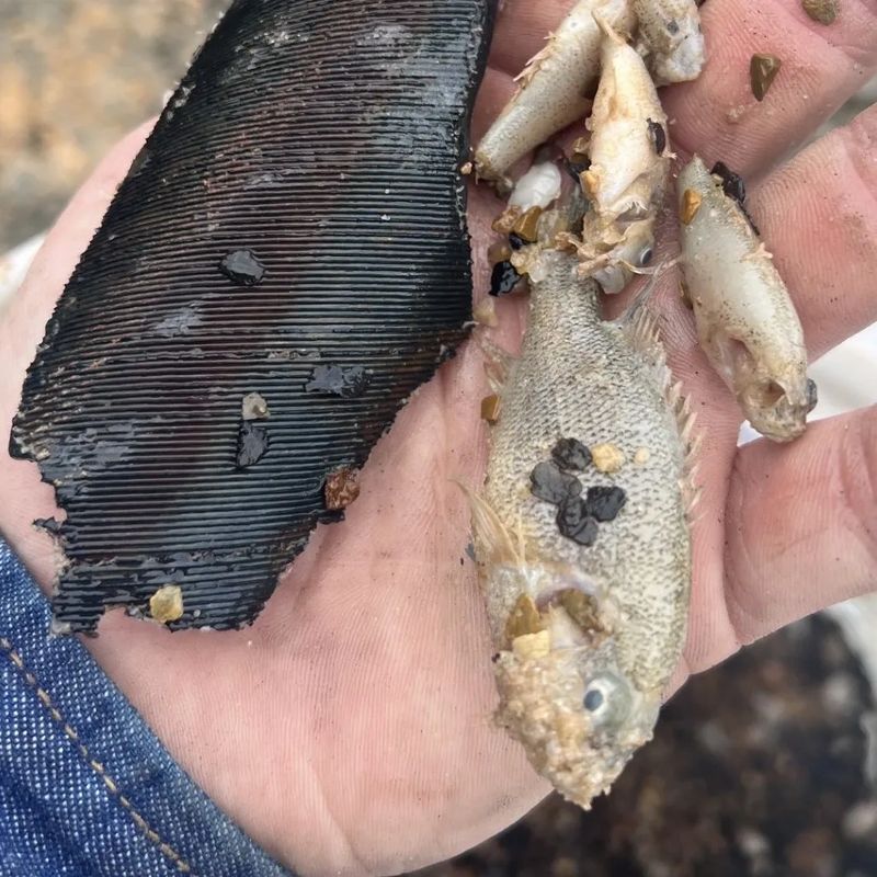 RKO debris and rock particles