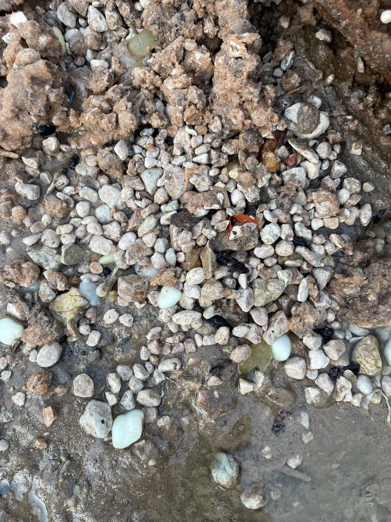 Rock and debris samples