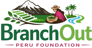 BranchOut Peru Foundation