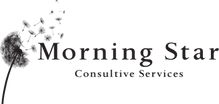 Morning Star Consultive Services