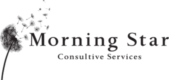 Morning Star Consultive Services