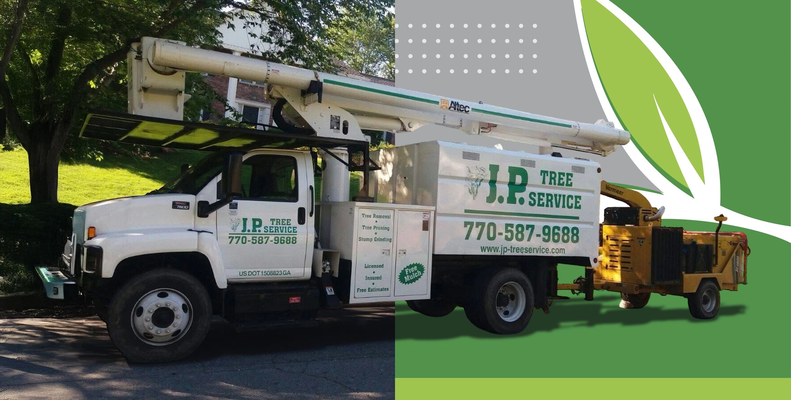 Gallery | JP Tree Service