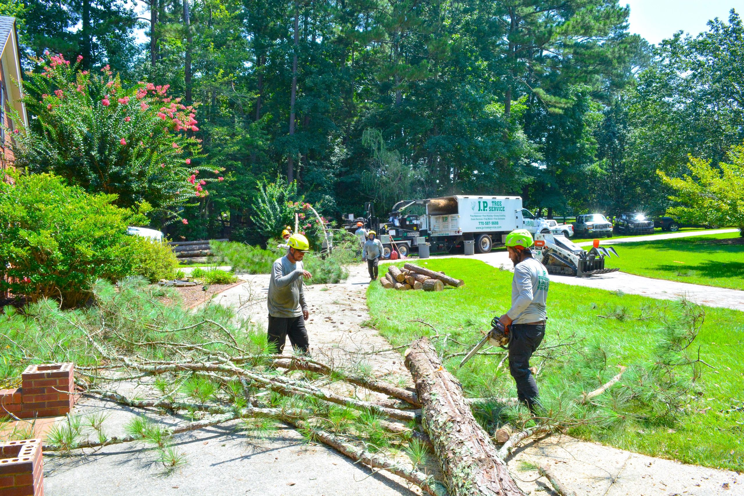 JP Tree Service