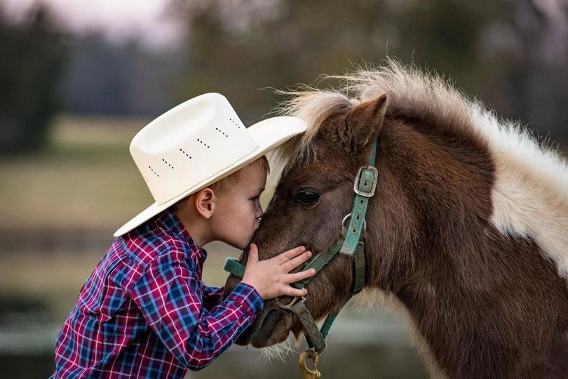 Idlehurst - Horseback Riding Lessons - Greenville, South Carolina