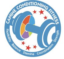 Easy Canine Conditioning and Fitness — McSquare Doodles
