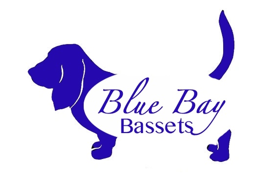 Blue Bay Bassets