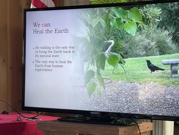 A presentation slide about healing the Earth through re-wilding and ending human exploitation.