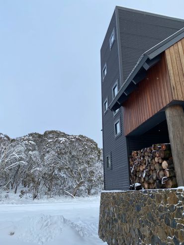 Modern building with stacked firewood beside snowy forest under a clear sky.
