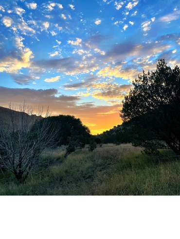 Davis Mountains State Park
August 2022