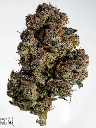 Close-up of a dense, frosty cannabis bud with purple and orange hues.