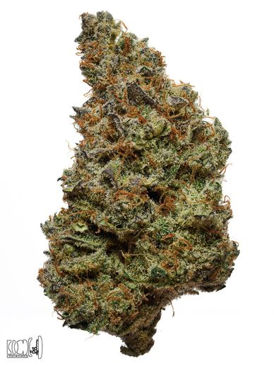 Close-up of a dense cannabis bud with orange hairs and frosty trichomes.