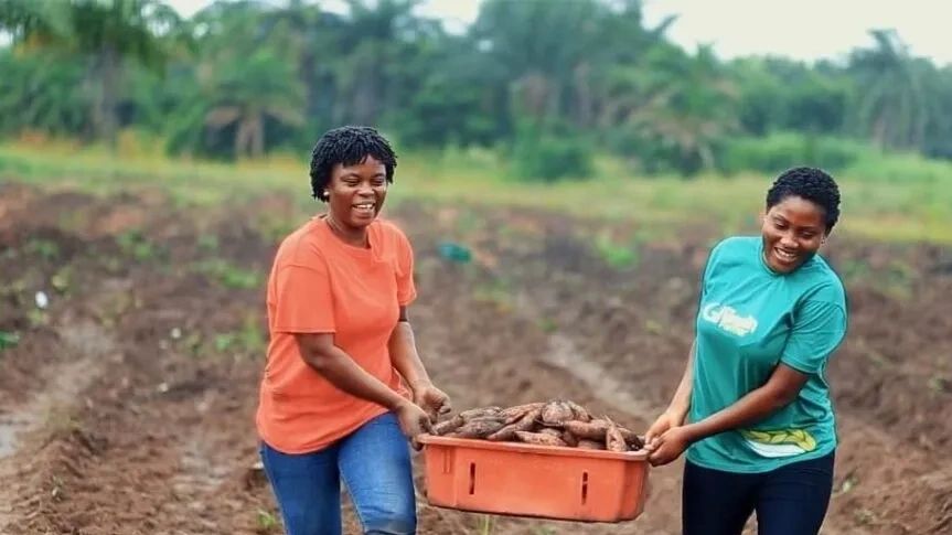 //img1.wsimg.com/isteam/ip/ce865d22-1ea6-4b8f-bb42-8668c3580375/blob-157f31e.png/:/rs=w:1300,h:800