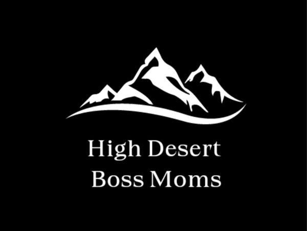 Business Networking each Tuesday check with our organizer regarding times
hdbossmoms@gmail.com 