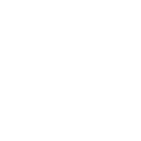 novOlive
