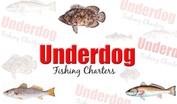 underdog fishing charters