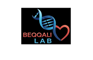 Beqqali Lab