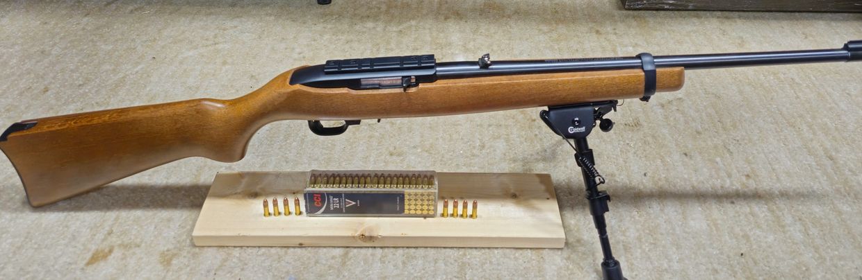Ruger 10/22