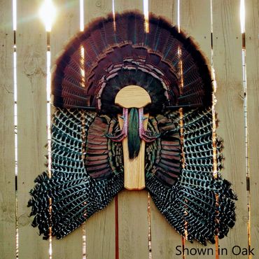 Turkey fan and wing mount