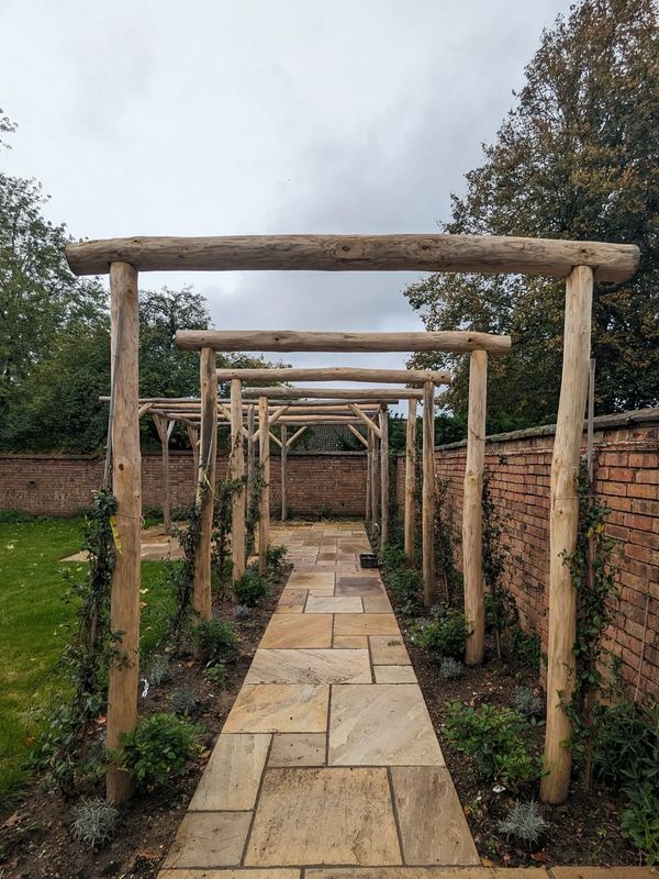 Garden pergola walkway